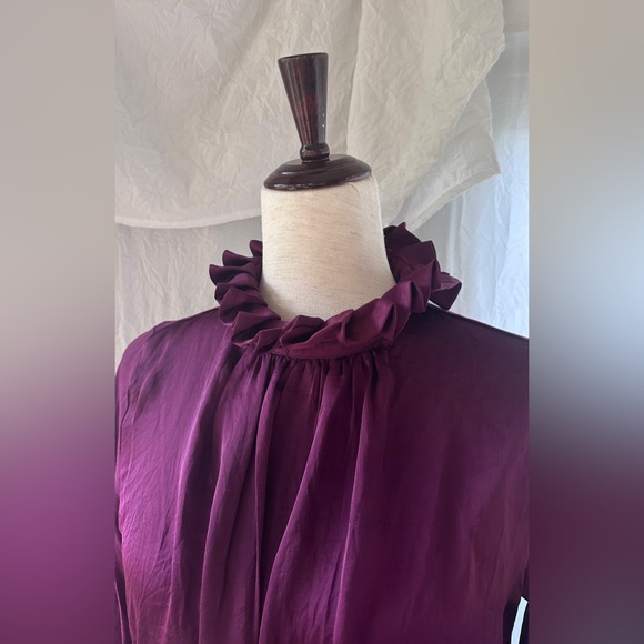 Banana Republic Tudor Inspired Oxblood Ruffle Neck Blouse - Picture 5 of 8